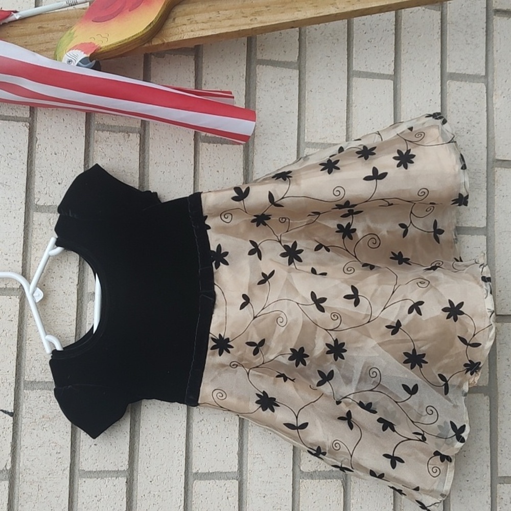 Gold/Black dress